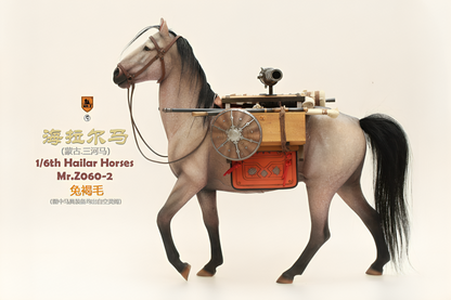 Mongolia Hailar War Horse 2