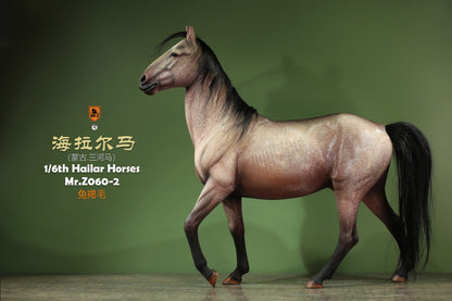 Mongolia Hailar War Horse 2