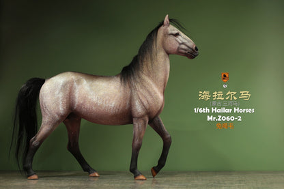 Mongolia Hailar War Horse 2