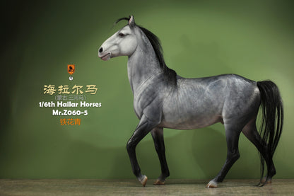 Mongolia Hailar War Horse 5