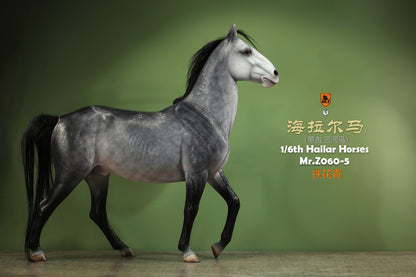 Mongolia Hailar War Horse 5