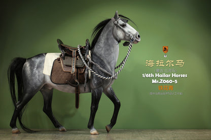 Mongolia Hailar War Horse 5