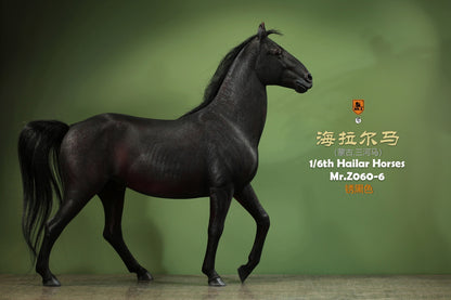 Mongolia Hailar War Horse 6