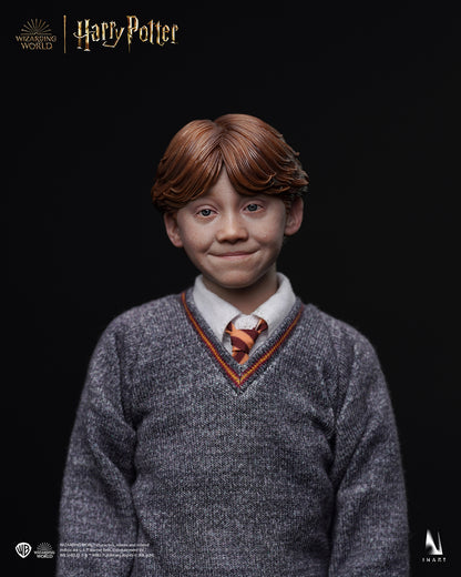 Harry Potter And The Sorcerer'S Stone - Ron Weasley Deluxe Version