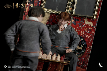 Harry Potter And The Sorcerer'S Stone - Ron Weasley Deluxe Version