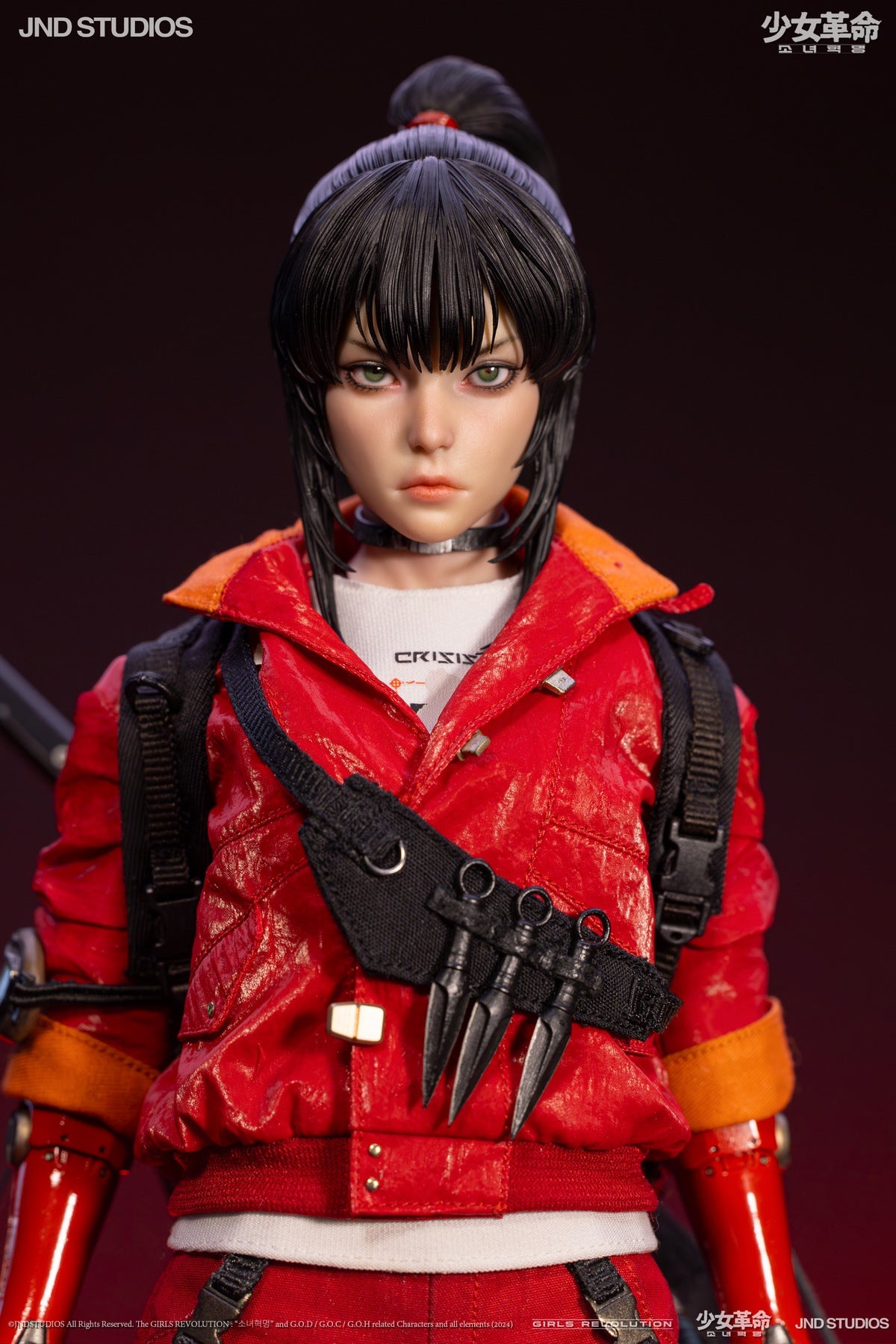 Girls' Revolution Bounty Hunter HIKARU Basic Edition