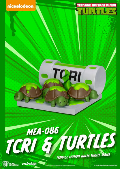 Teenage Mutant Ninja Turtle series Blind box set (6pcs)