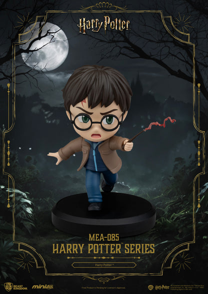 Harry Potter series Blind Box Set (6PCS)