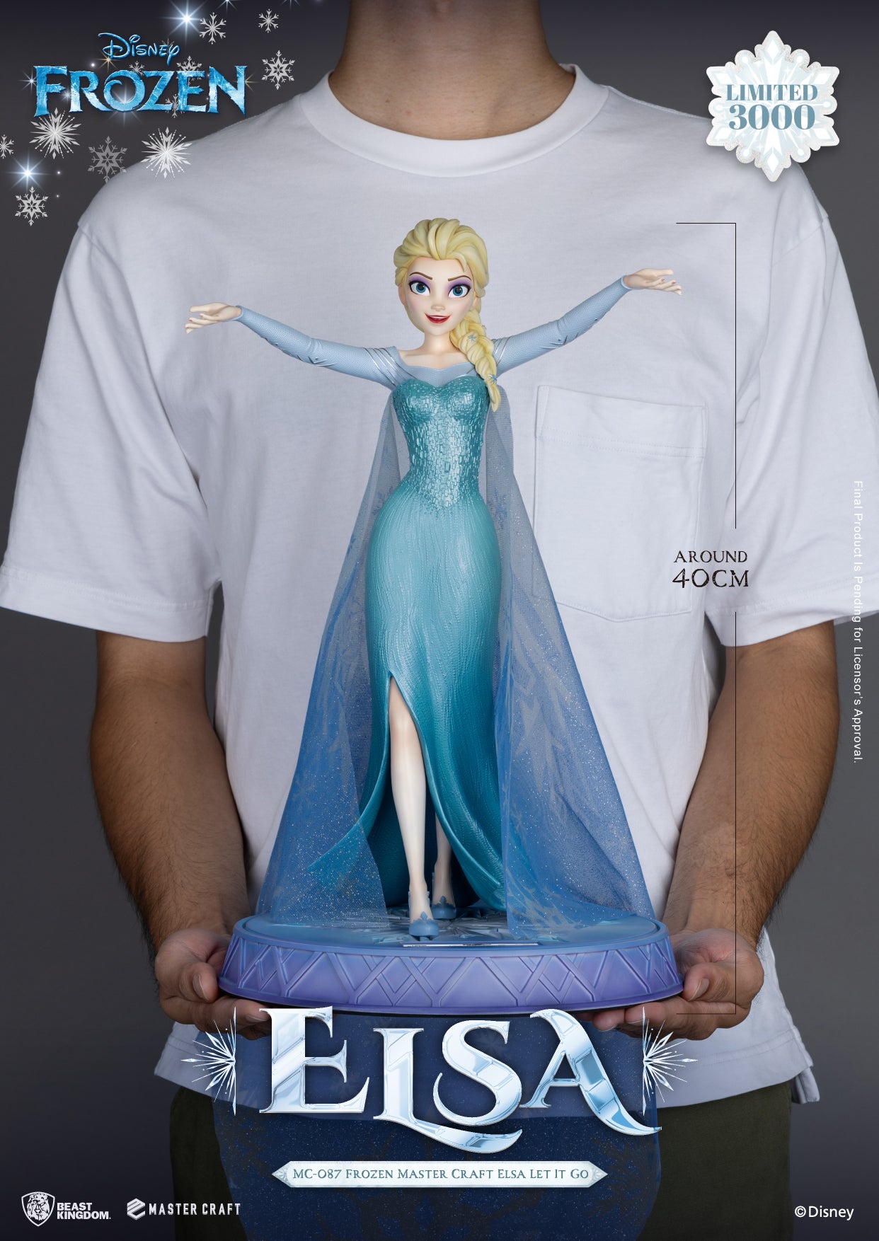 Frozen Elsa Let It Go Master Craft