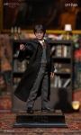 JND Studios KOJUN Works 1/6 HARRY POTTER SERIES (Type C) Complete Set of 3 Figures (KJW 003C)